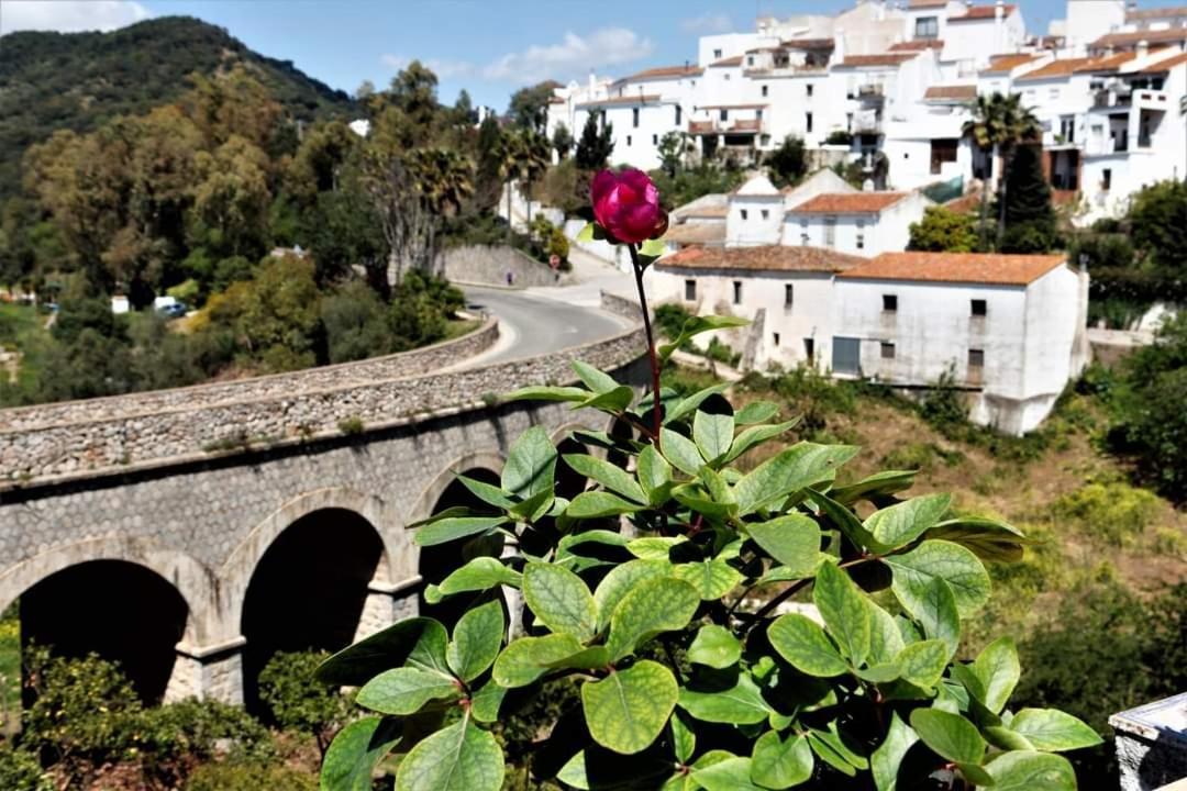 Casa Rural Sierras De 高辛 外观 照片